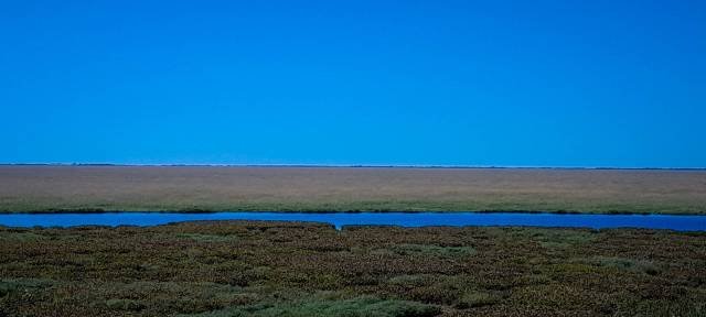 A superfície da Laguna Cáceres foi reduzida em até 87%, de 200 Km2 para 26 Km2, aponta a boliviana Fundación Amigos de la Naturaleza. Foto: Aldem Bourscheit / O Eco